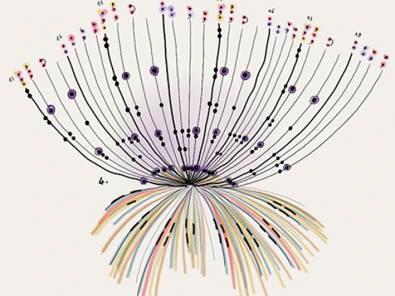 A series of curved lines connect numbers to a central point