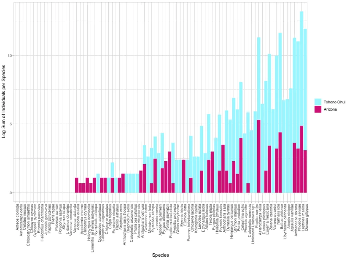 Data Visualization Challenge 2020 entry by Jazmyn Winzer