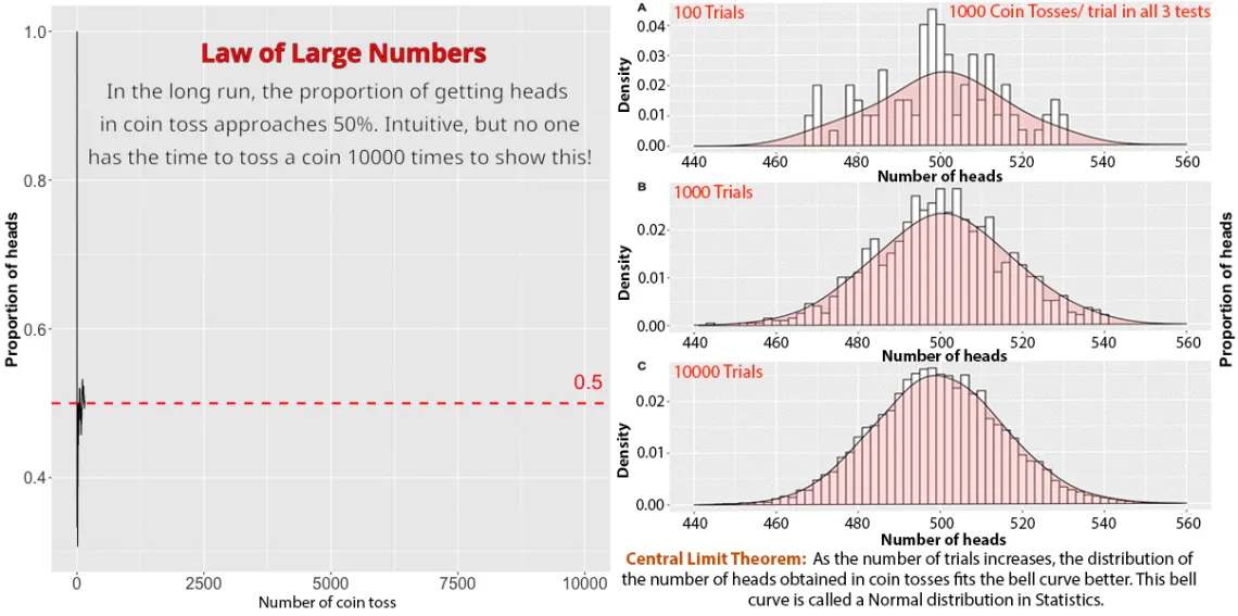 Data Visualization Challenge 2021 entry by Bao “Tintin” Nguyen