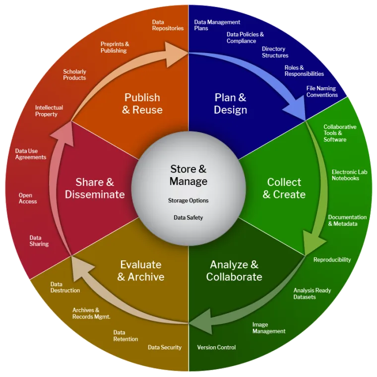 Research data lifecycle