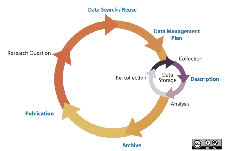 Research Data Management Lifecycle
